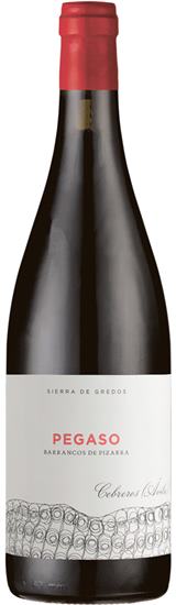 Pegaso Barrancos de Pizarra 2021