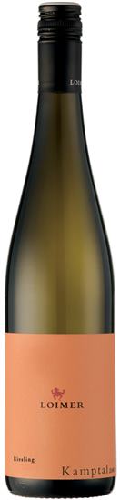 Riesling Kamptal 2024